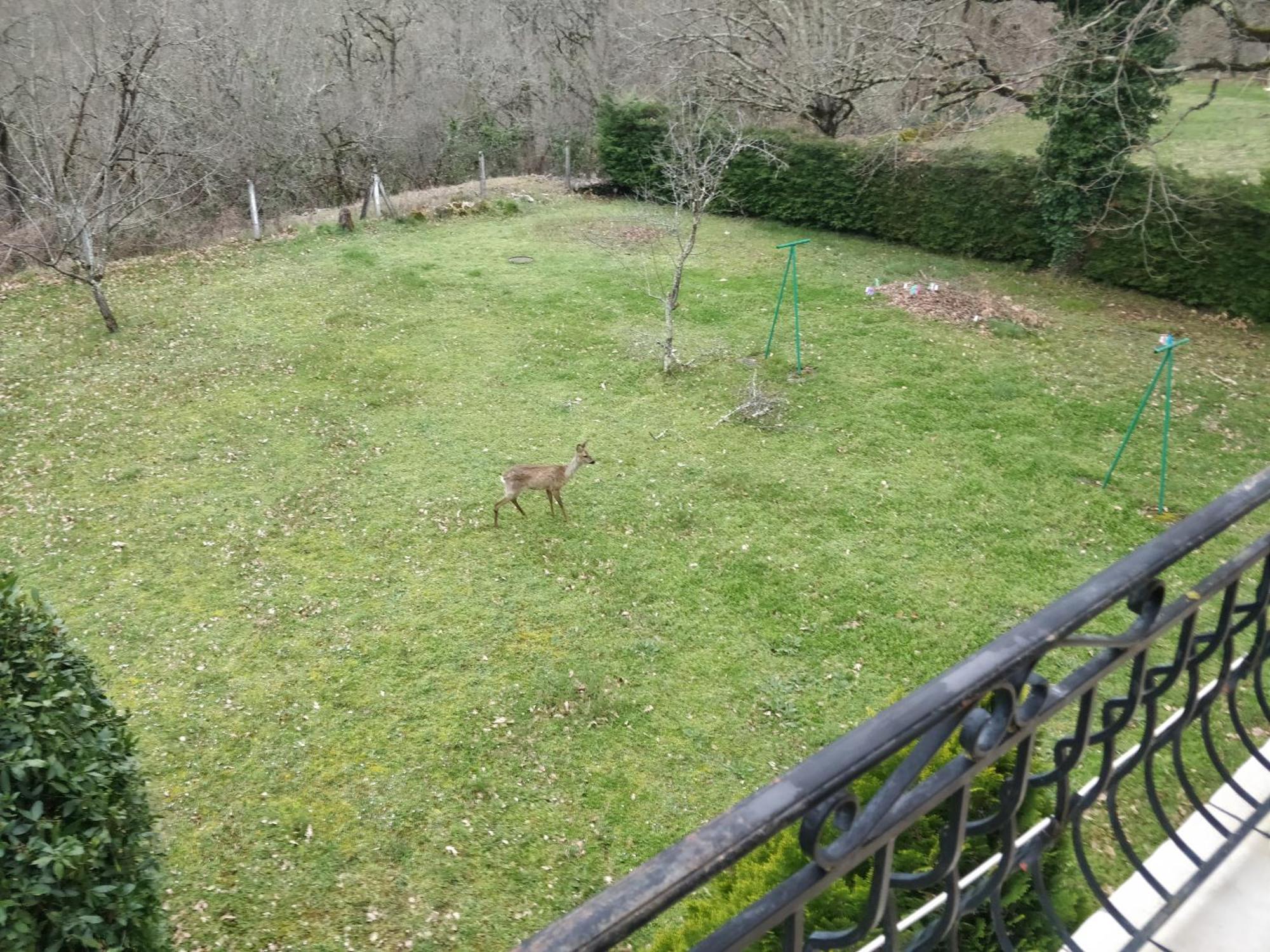 La Cote De Graves *